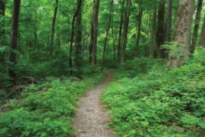 Hiking